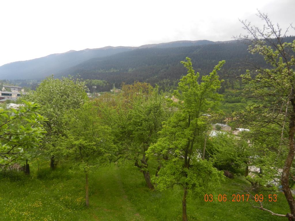 Guest House Katia Местия Екстериор снимка