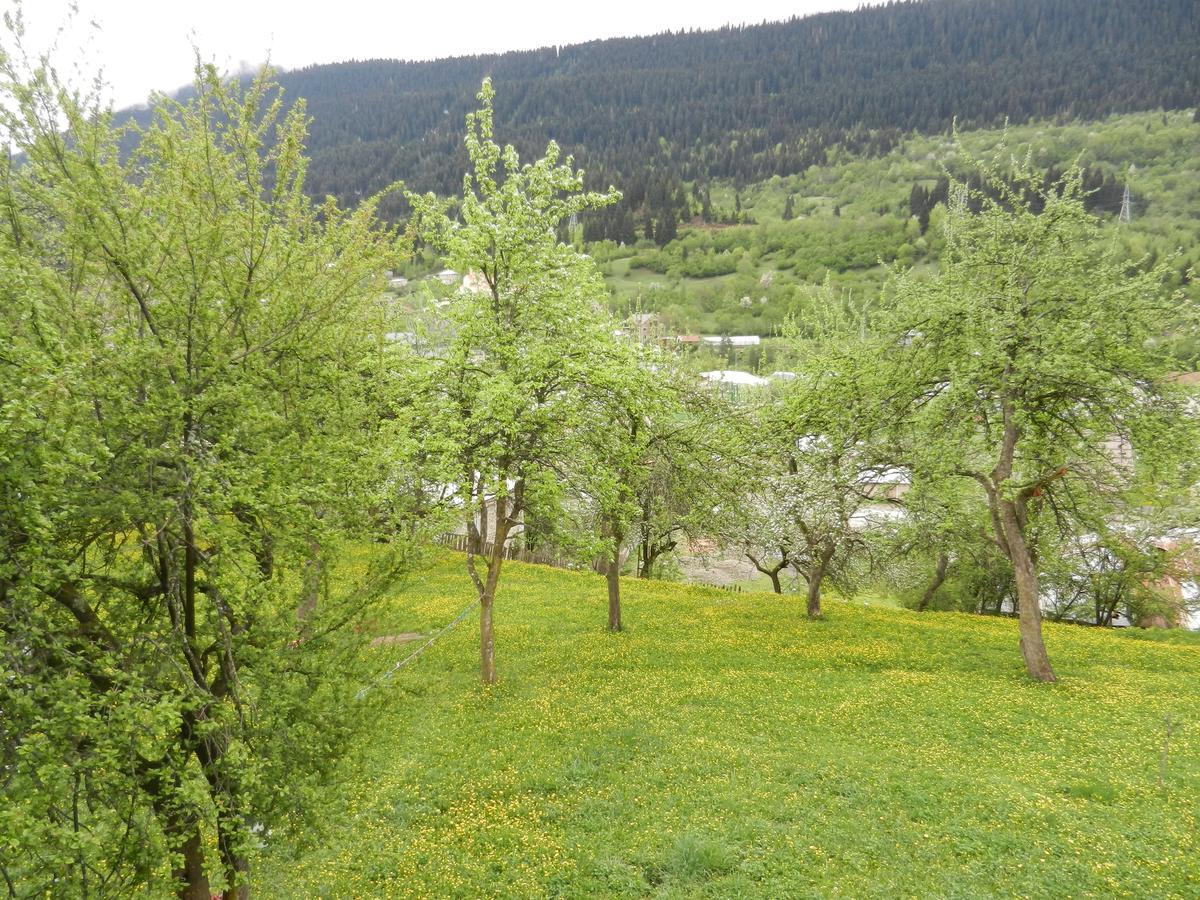Guest House Katia Местия Екстериор снимка